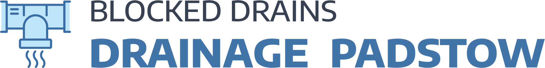 website logo